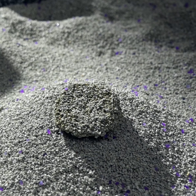 Wybór najlepszego żwirku mineralnego dla kota: praktyczne wskazówki dotyczące czystszego domu